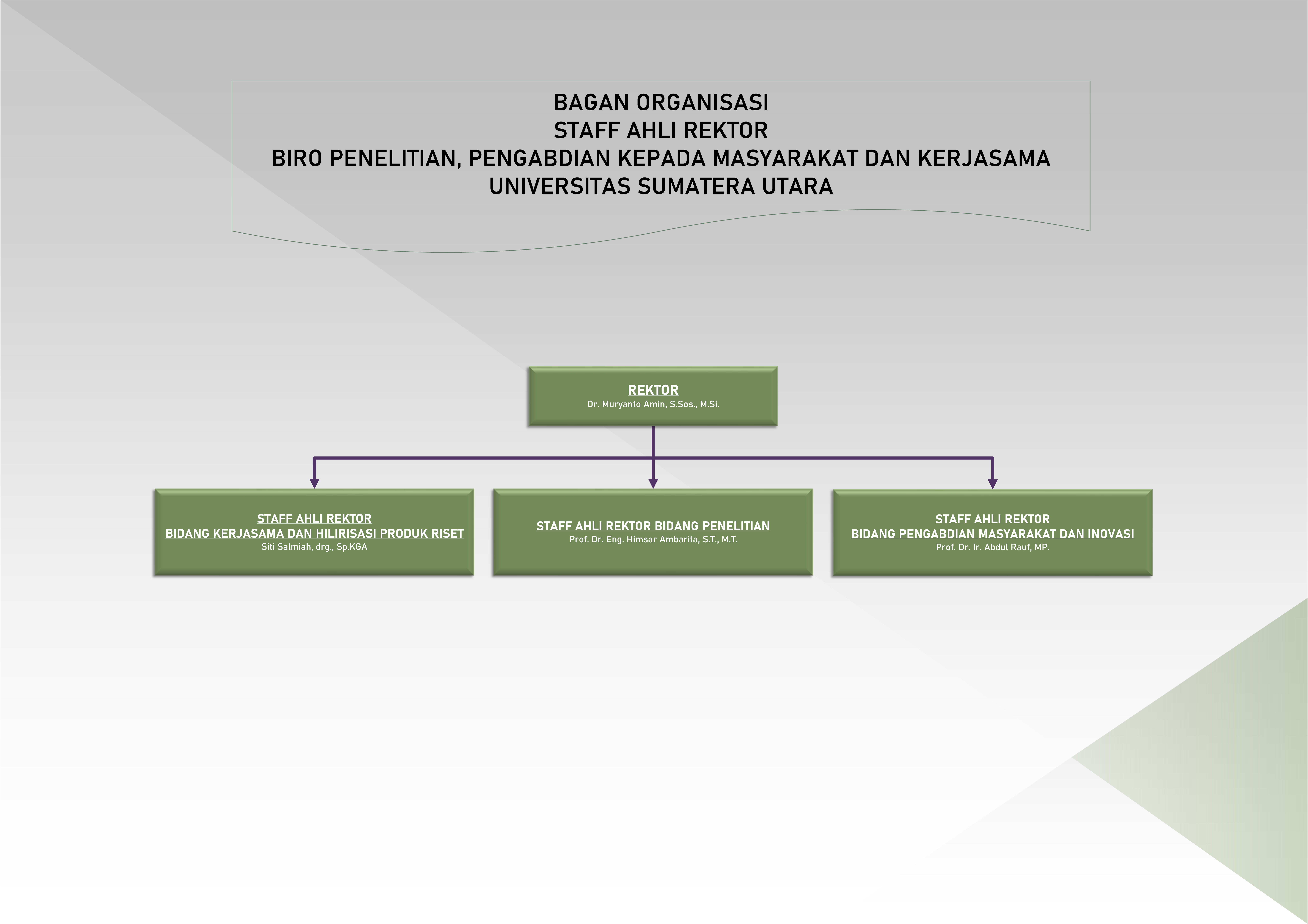 usu, staff ahli rektor, biro, kerjasama